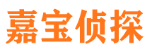 崇川市侦探